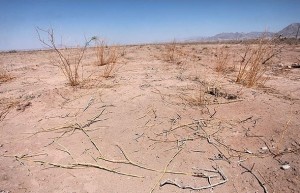 خشکسالی (2)